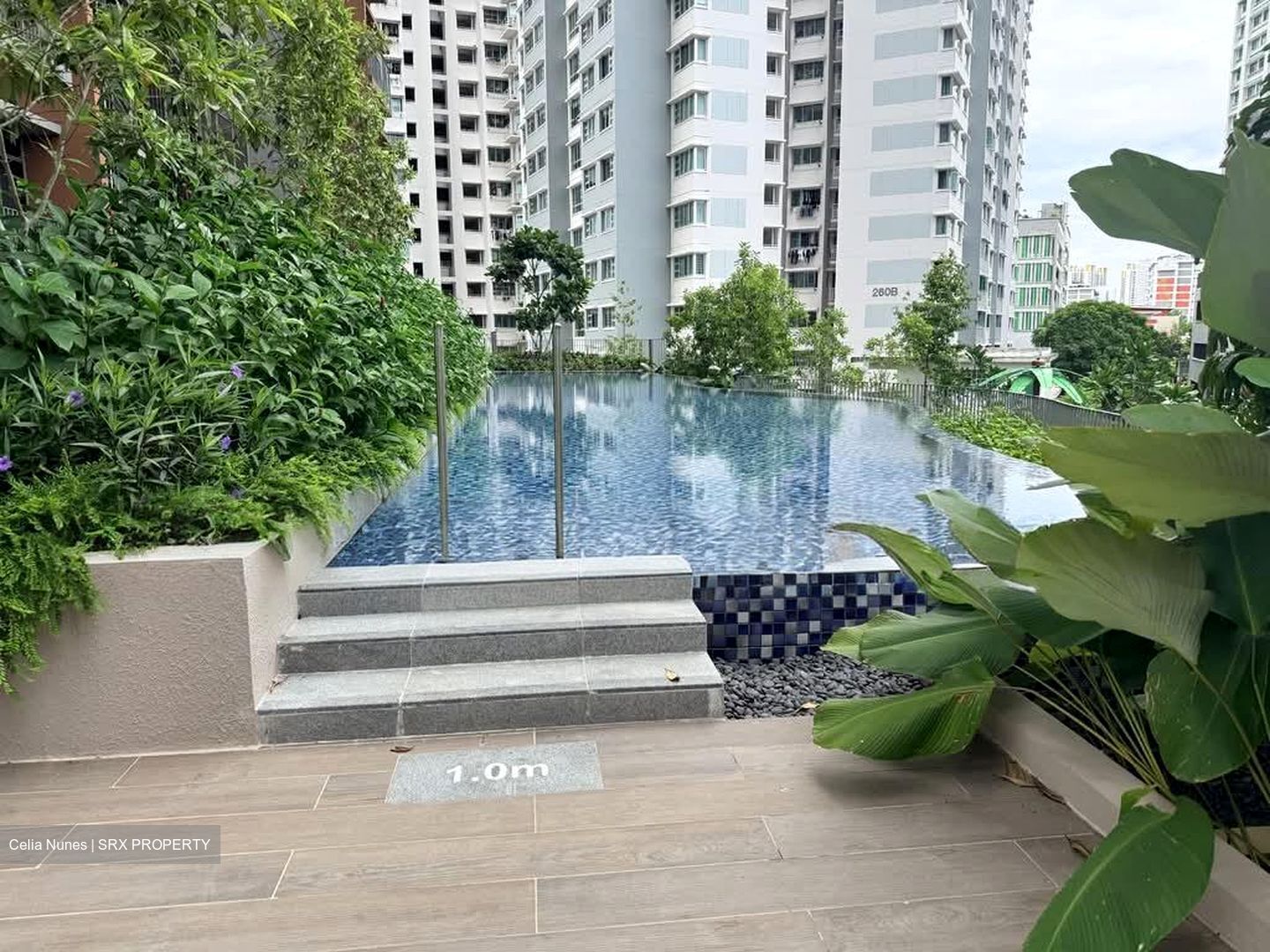 Amo Residence (D20), Apartment #556200611